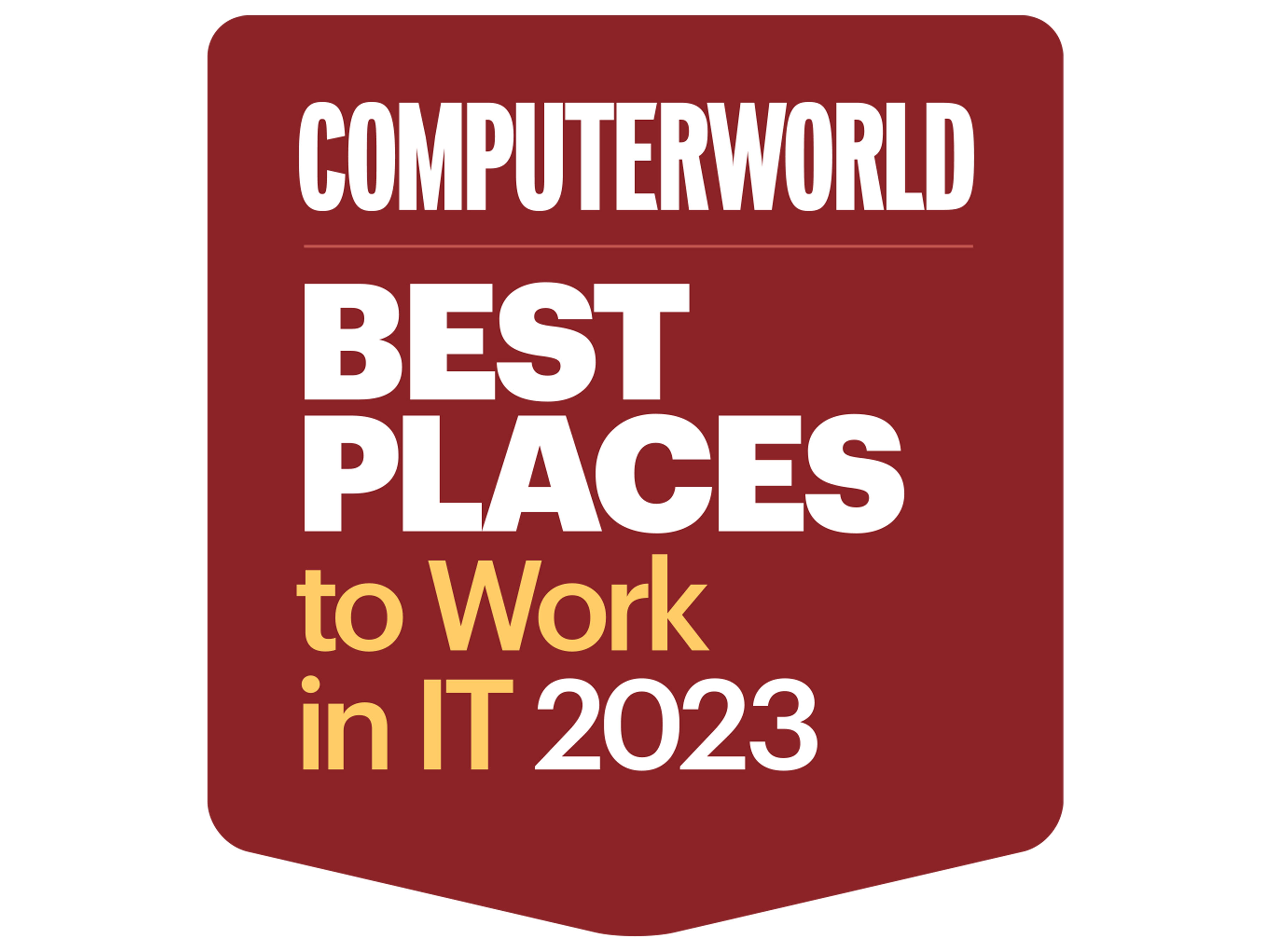 Best Places to Work in IT logo