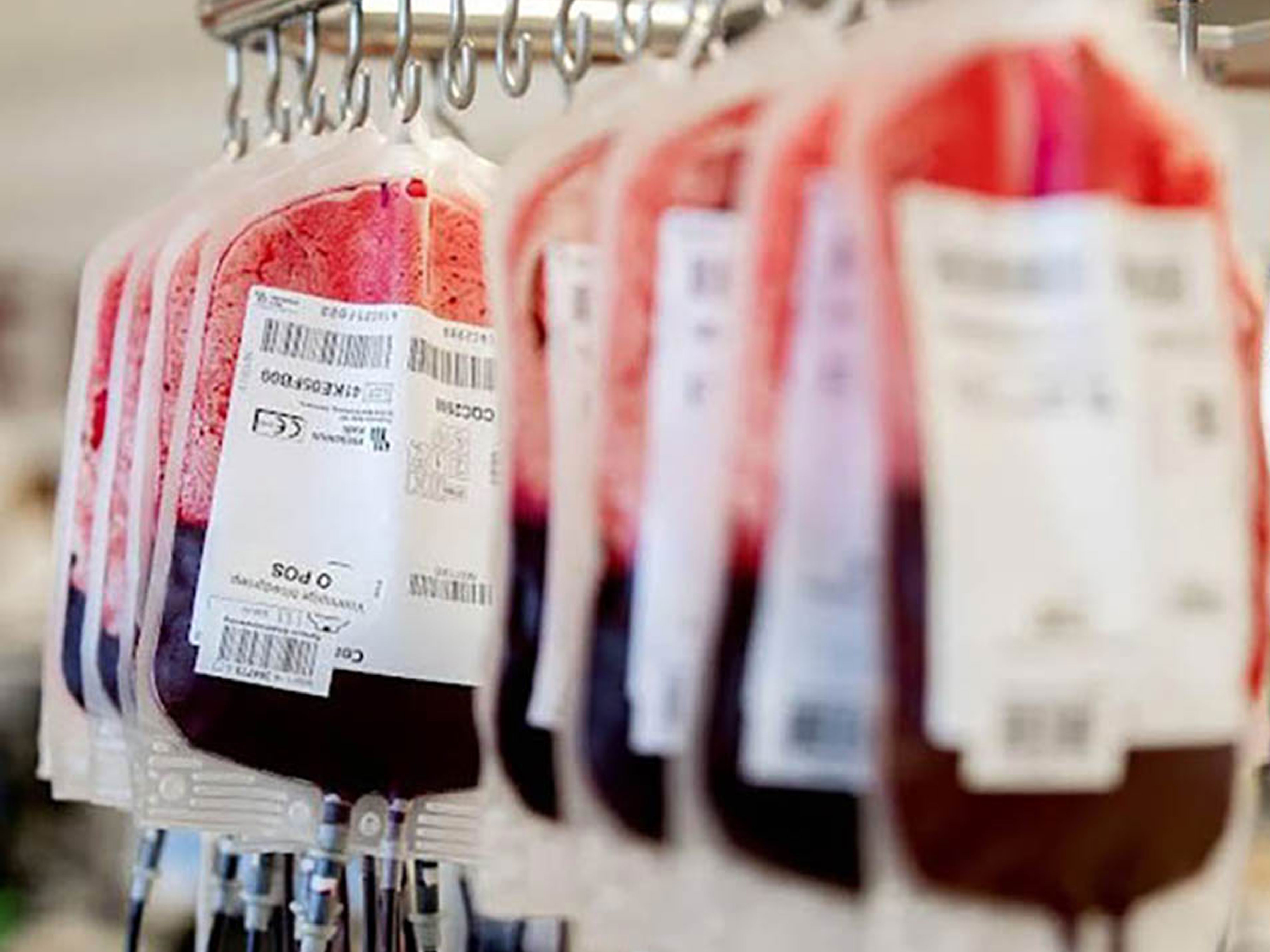 blood bags at Sanquin hospital