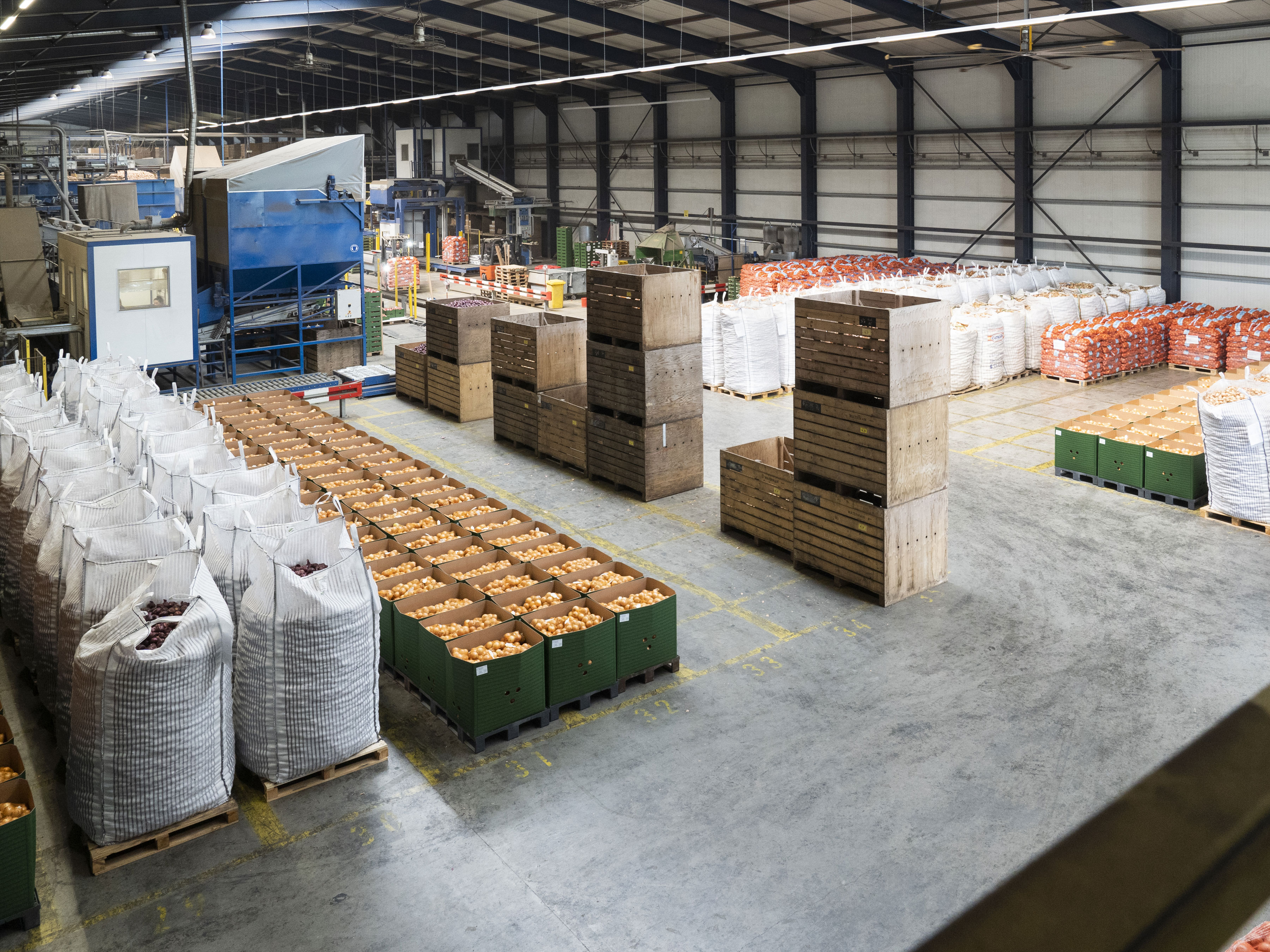 Boxes full of onions at Waterman Onions warehouse
