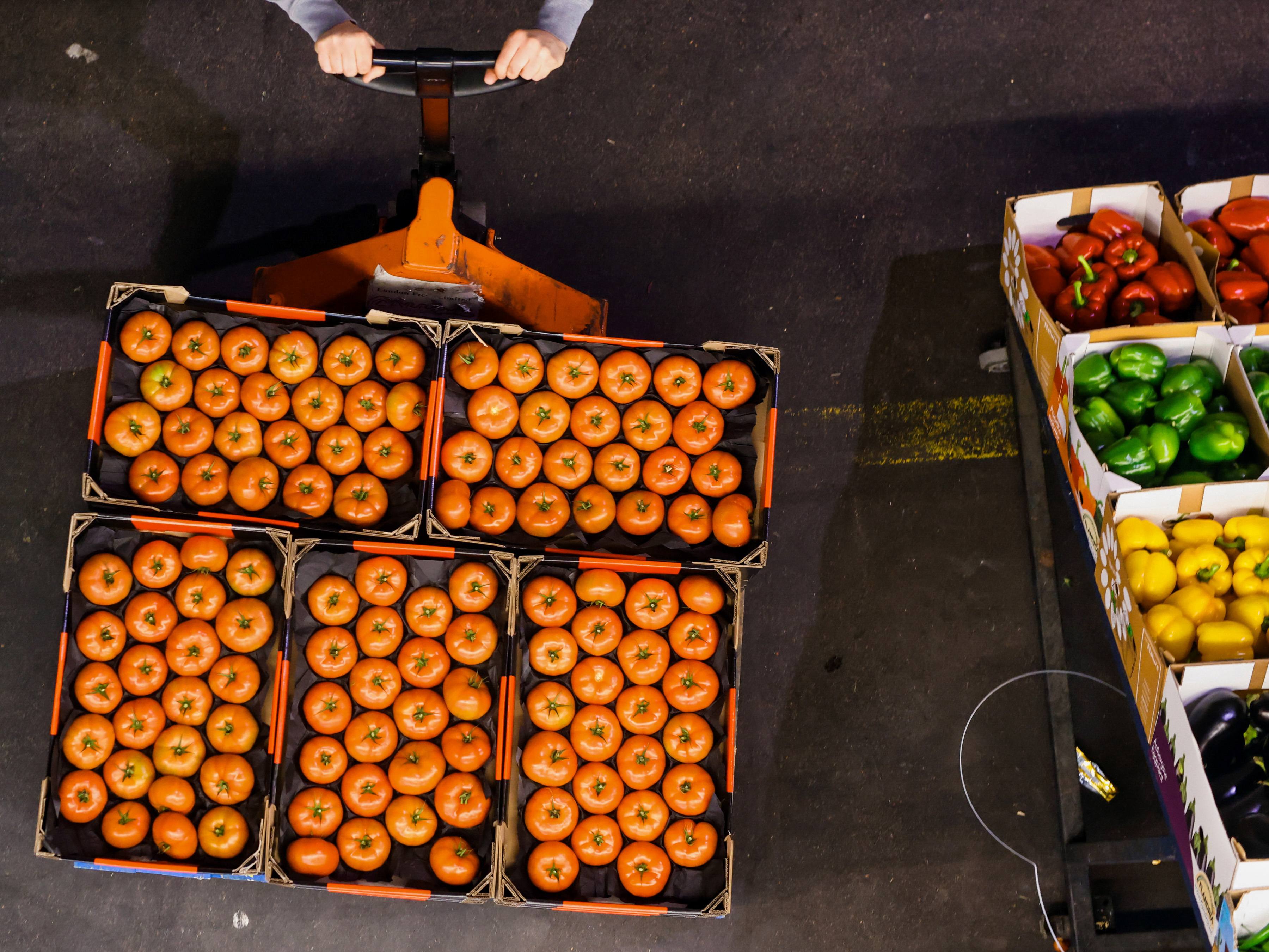 Employee moving a pallet of tomatoes.