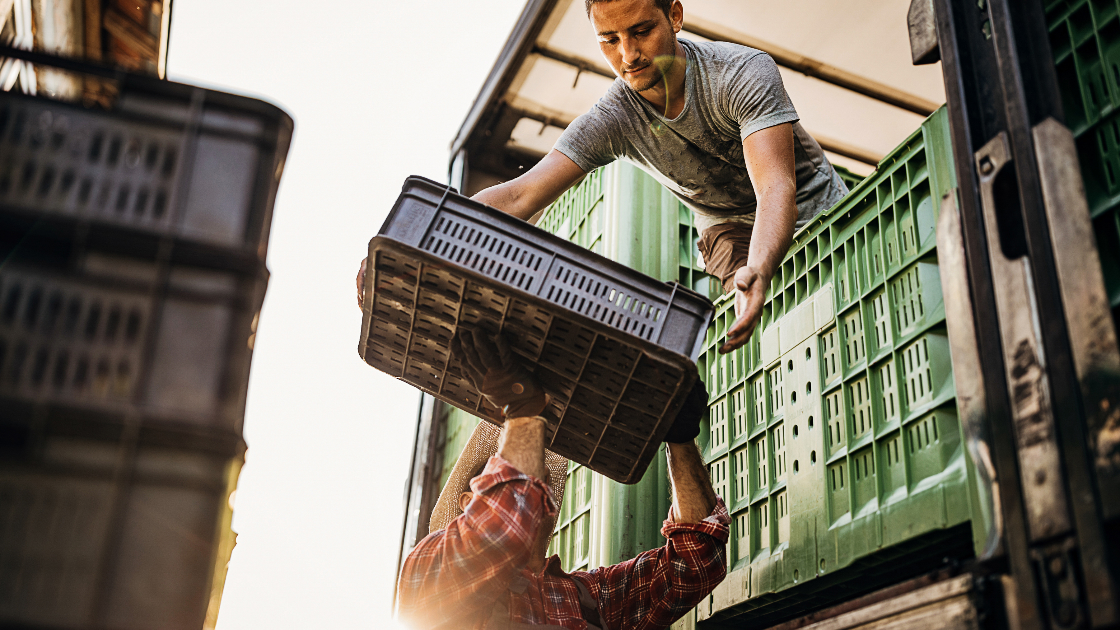 Produce farmer loading transport truck.